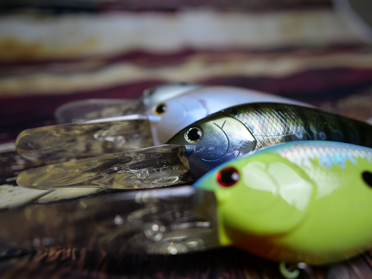 Best Bass Fishing Lures for Southern Lakes
