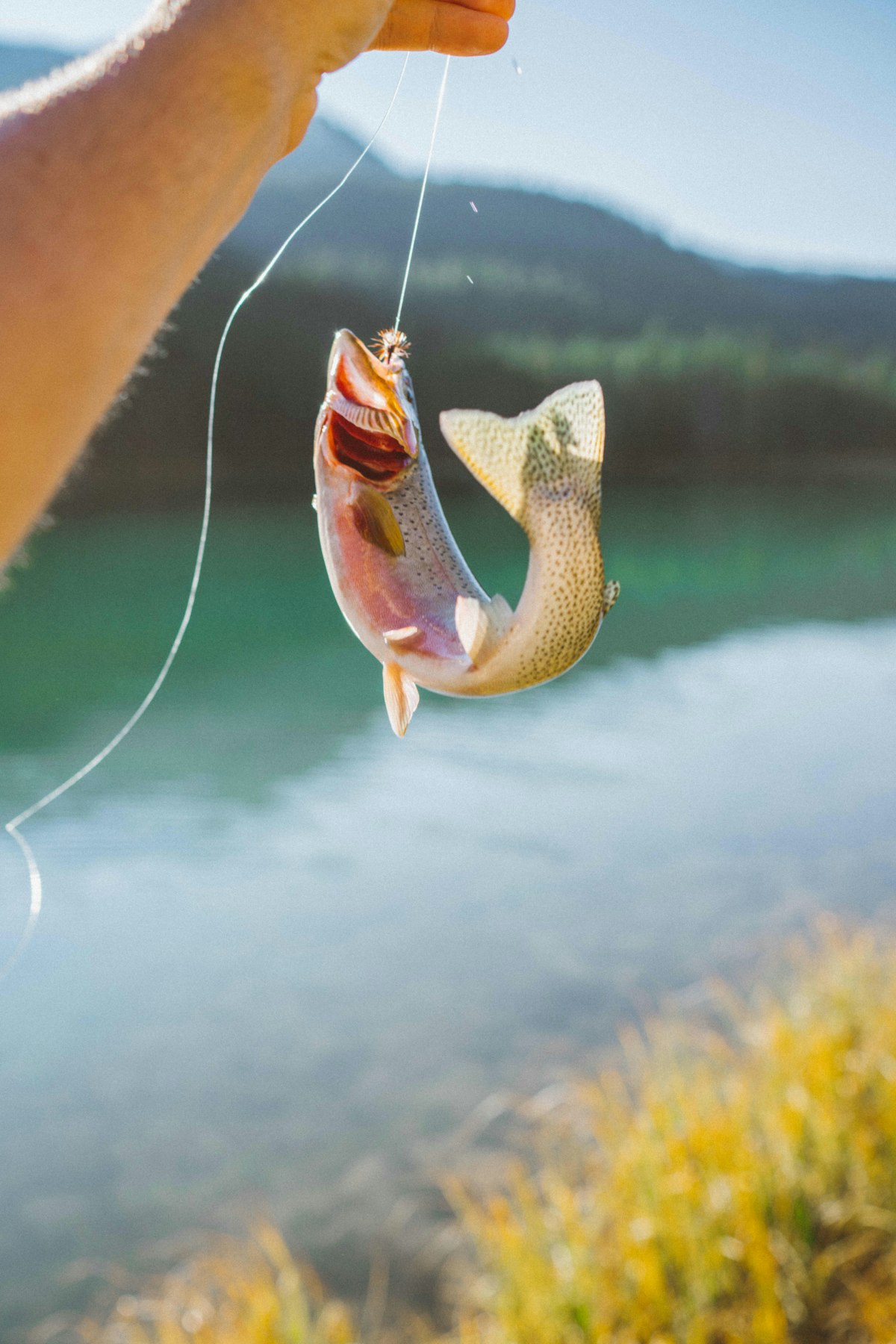 How to Catch Crappie: Techniques for Southern Lakes and Reservoirs