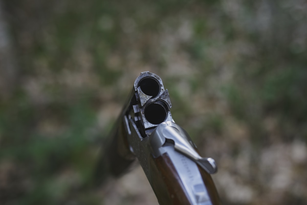 Best Duck Hunting Ammo: Shot Size, Steel vs. Bismuth, and Load Selection Guide