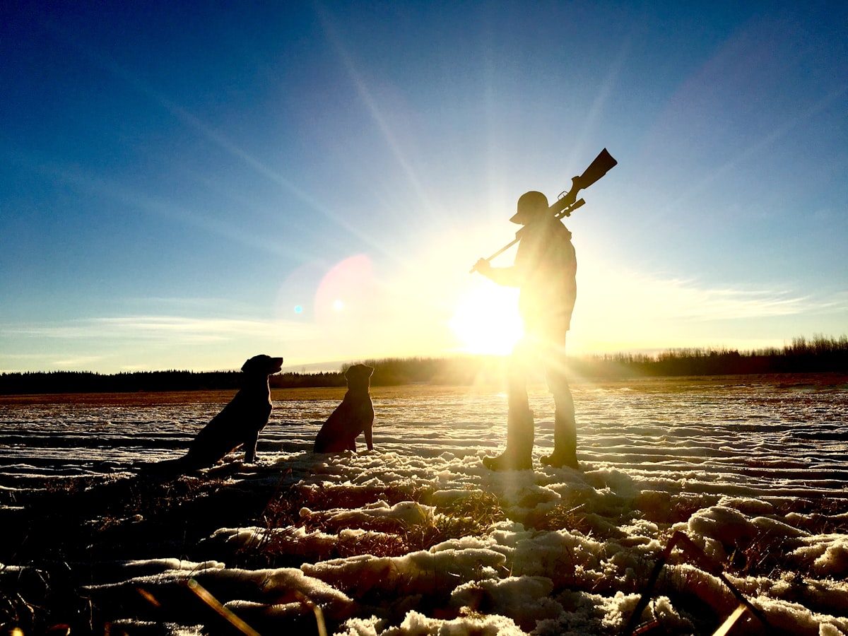 Best Duck Hunting Dogs for Southern Hunters