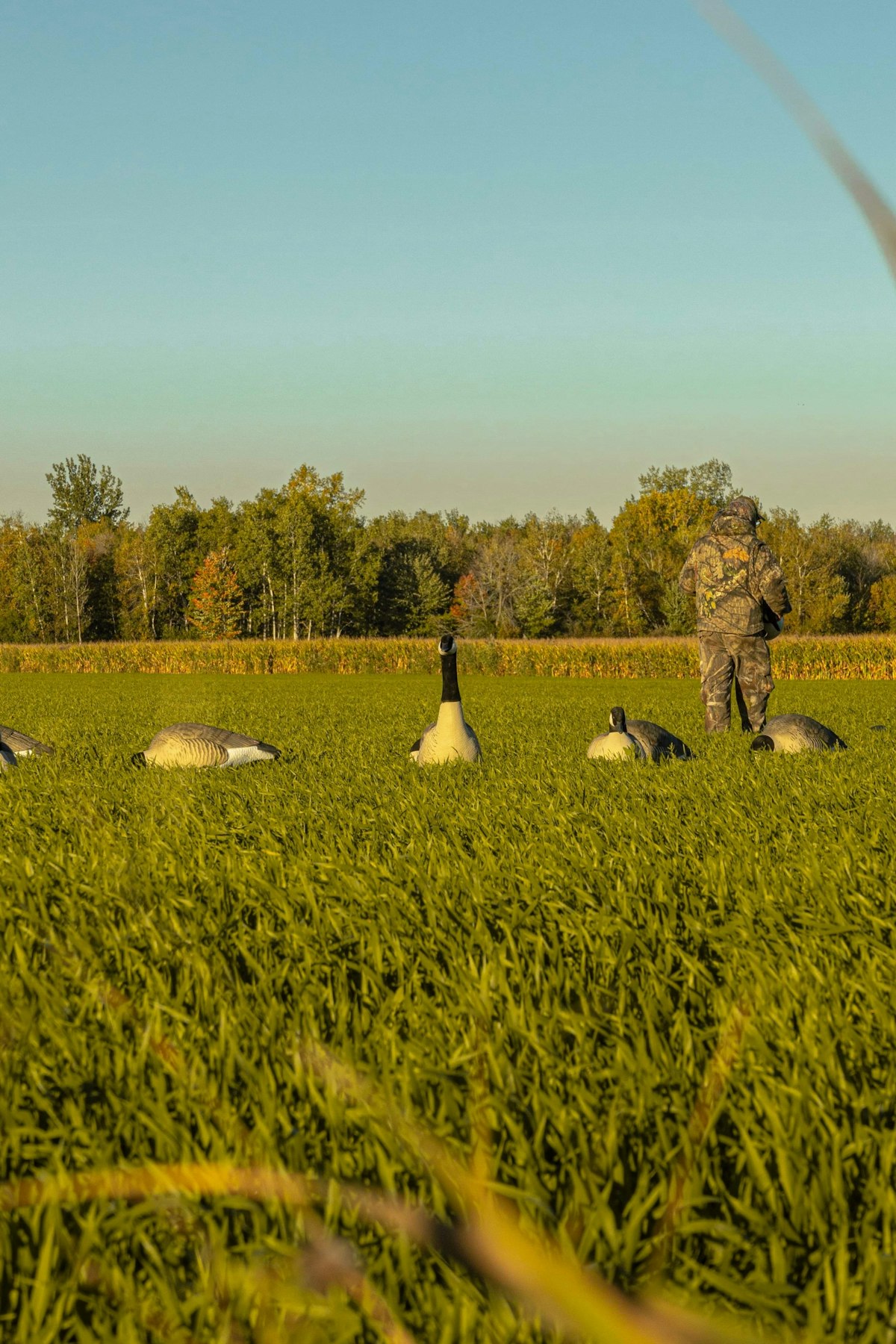 Duck Hunting Gear Checklist: Everything You Need for Season