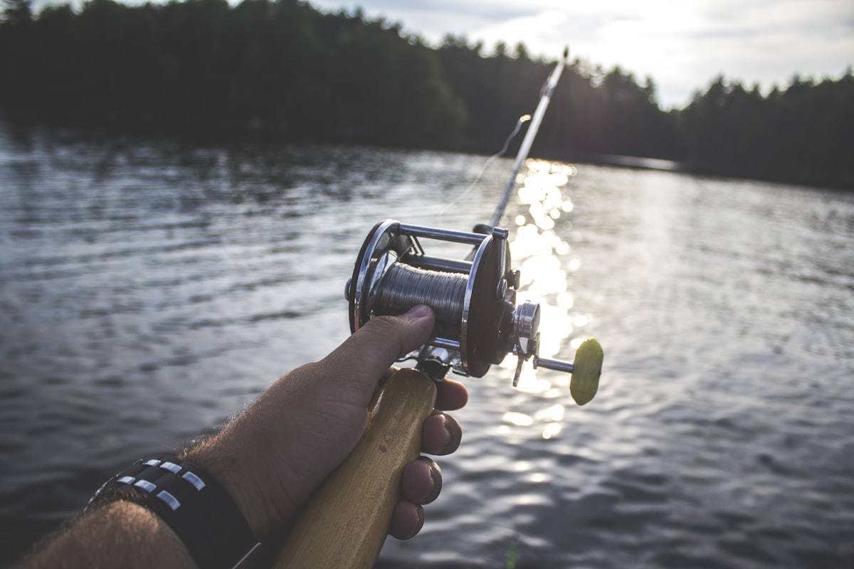 Best Saltwater Spinning Reels Under $200