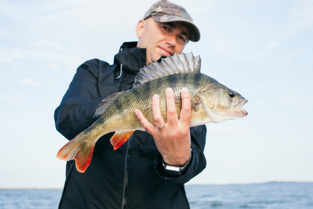 Sight Fishing for Redfish: How to Find, Approach, and Catch Tailing Fish