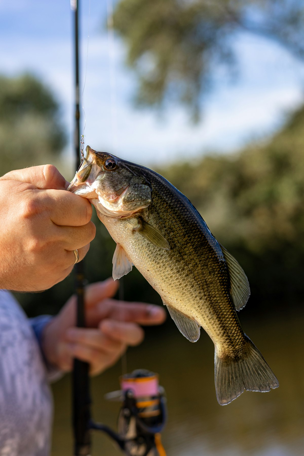 How to Catch Speckled Trout: Complete Guide for Gulf Coast Anglers